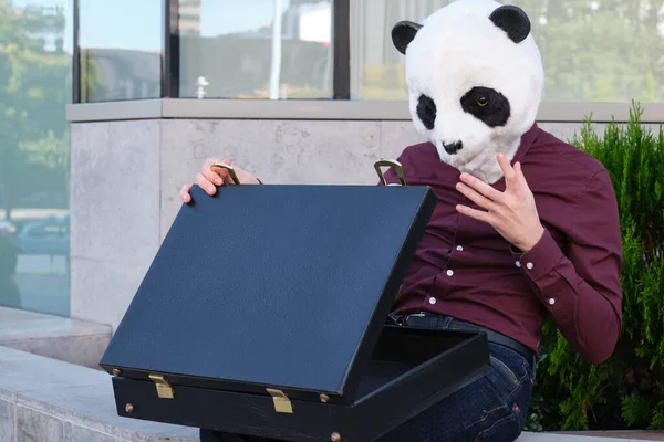 Rapinatore Che Indossa Una Maschera Forma Testa Panda Rubato Una — Foto Stock