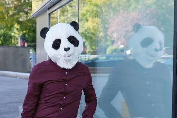 Giovane Uomo Affari Che Indossa Una Maschera Testa Panda Riflessa — Foto Stock