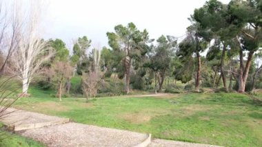Filomena 'daki kar fırtınasından sonra Madrid' deki San Isidro parkında devrilmiş ağaçlar. Yok edilmiş ağaçlar, kırılmış dallar. Doğal afet.
