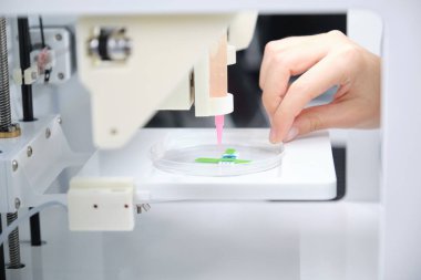 Araştırmacılar 3 boyutlu biyo kopyalayıcıyı 3 boyutlu hücreleri elektrotun üzerine basmaya hazırlıyor. Biyomateryaller, doku mühendisliği kavramları.