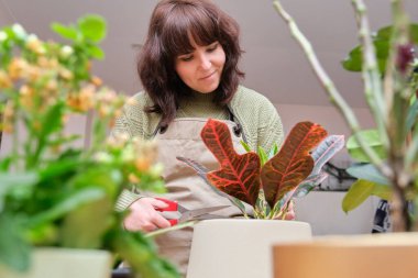 Evde bitkileriyle ilgilenen gülümseyen genç bir kadın. Bahçecilik ve ev bitkileri..