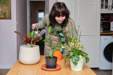 Gülümseyen beyaz kadın evdeki bitkilerine bakıyor ve suluyor. Ev ve ev bitkileri.