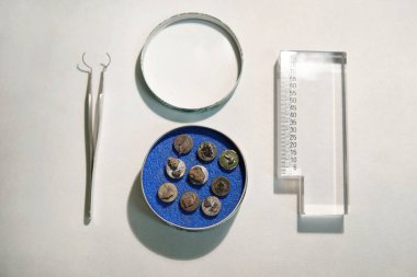 Numune dağları, cımbız ve cetvel üzerindeki elektron mikroskobu örneklerini tarıyorum. Analiz edilecek SEM iğneleri.