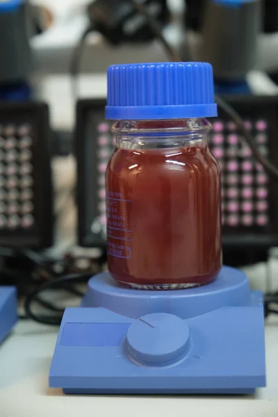 Cultivos Fotobacterianos Anaeróbicos Morados Rojos Iluminados Con Iluminadores Infrarrojos Microorganismos —  Fotos de Stock