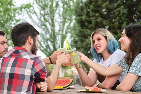 一群快乐的朋友在公园里敬酒 吃水果 在阳光灿烂的夏日野餐 — 图库照片