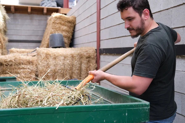 Agricultor Masculino Usando Garfo Para Carregar Carrinho Mão Com Feno — Fotografia de Stock