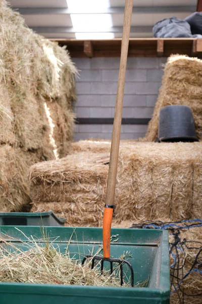 叉子装上干草后用干草叉在手推车上的叉子 — 图库照片