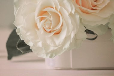 Beyaz güllerin narin çiçekleri, yakın plan.