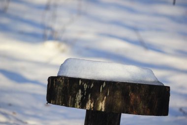 Parlak bir kış ormanında karla kaplı ağaç kütüğü, dokusu ve doğal kontrast üzerine odaklanır.