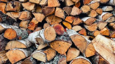 Düzgün istiflenmiş huş ağacı odunları, kışın ısınmak ve ısınmak için kırsal bir arka plan dokusu.