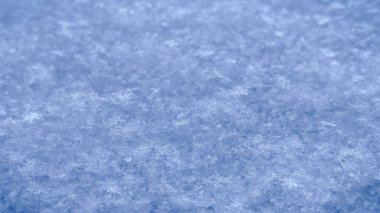 Yumuşak mavi gölgeler ve ışıl ışıl dokulu taze kristal kar yüzeyinin detaylı makro görüntüsü.