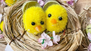 İki sevimli sarı tüylü Paskalya yavrusu hasır bir yuvada oturuyor, bayram tatili dekorasyonu..
