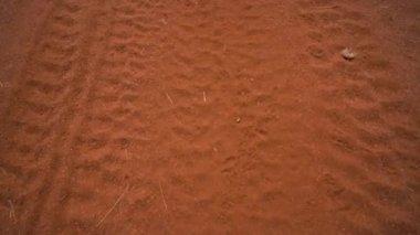 Afrika, Namibya 'daki Marienfluss Konservatuarında Dolly kırmızı kumda vuruldu..