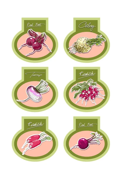 Set of vector labels with vegetables. Vector. — Stock Vector