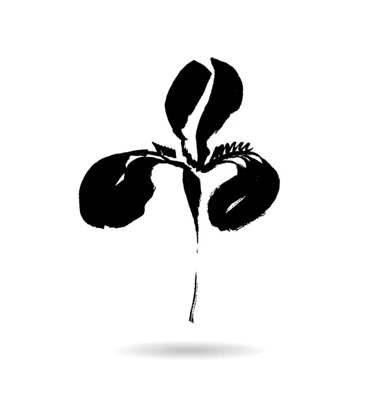 Logo de flor vectorial. Fondo floral. Iris de tinta caligráfica estilizada . — Vector de stock