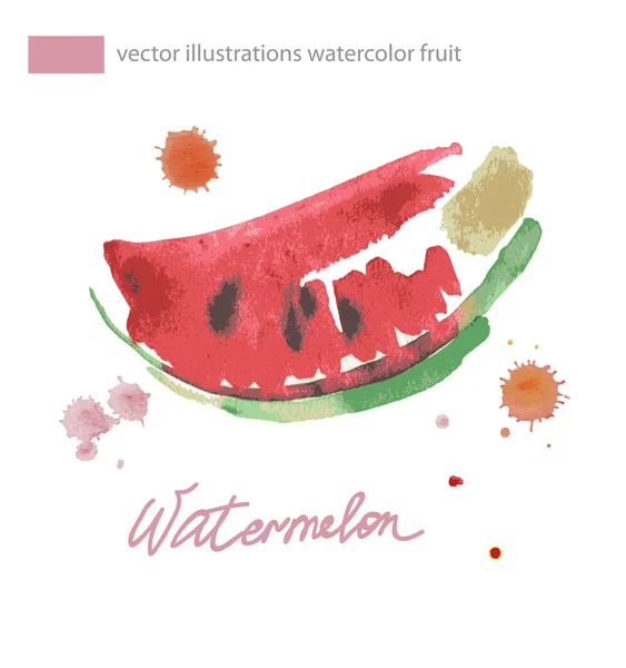 Watercolor illustration of watermelon.  No transparency. Gradients. — Stock Vector