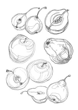 meyve seti el çekilmiş elma ve armut.