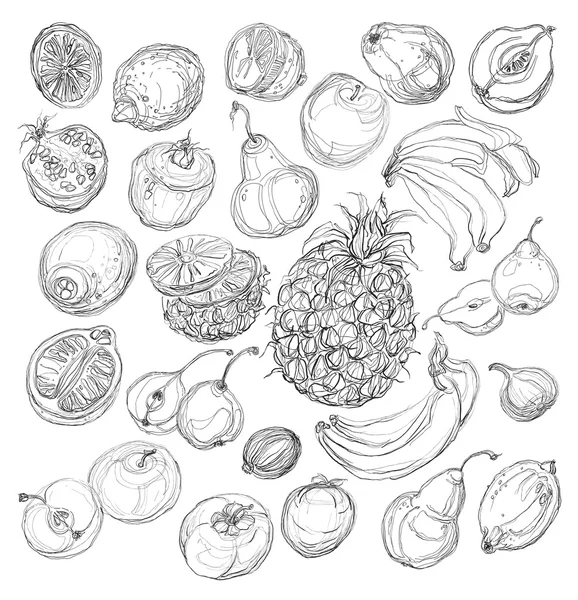 Conjunto de frutas. Dibujo a mano alzada . — Archivo Imágenes Vectoriales
