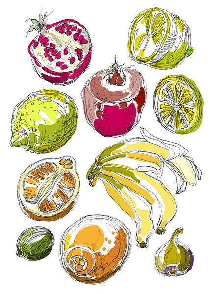 Set of fruits. Freehand drawing. — Stock Vector