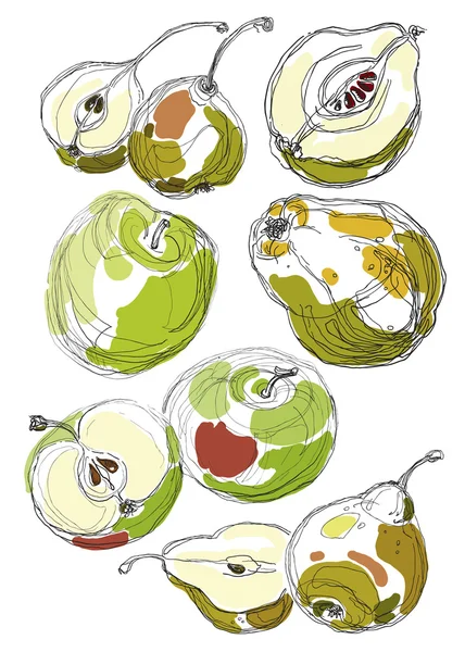 Fruit mis à la main dessiné pommes et poires . — Image vectorielle