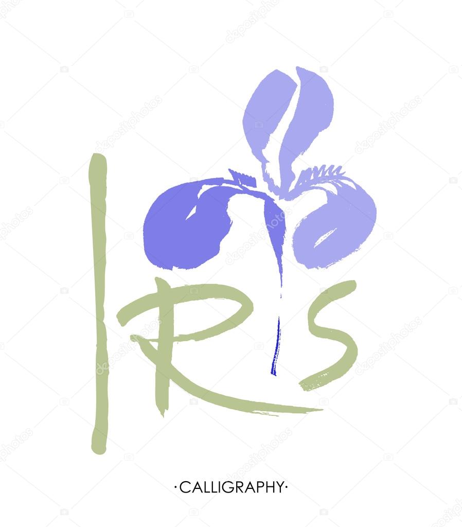 Vector flower logo. Floral background. Stylized calligraphic ink iris.