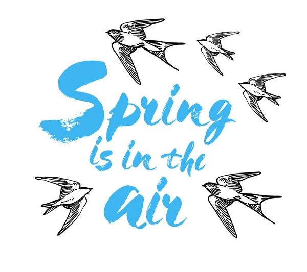 Primavera Está Cartão Postal Aéreo Ilustração Tinta Caligrafia Escova Moderna — Vetor de Stock