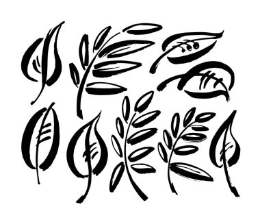 Simge vektör yaprağı. Eko-doğa sağlıklı bir kavram. Yeşil doğal bitki sembolü. Logo işareti tasarımı. Modern fırça mürekkep çizimi beyaz arkaplanda izole edildi