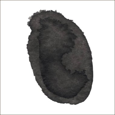 Beyaz arka planda siyah mürekkep lekesi izole edilmiş. Grunge dokusu.