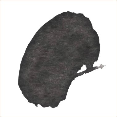 Beyaz arka planda siyah mürekkep lekesi izole edilmiş. Grunge dokusu.