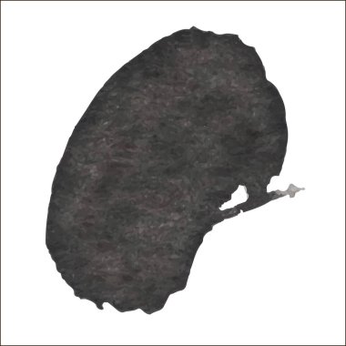 Beyaz arka planda siyah mürekkep lekesi izole edilmiş. Grunge dokusu.