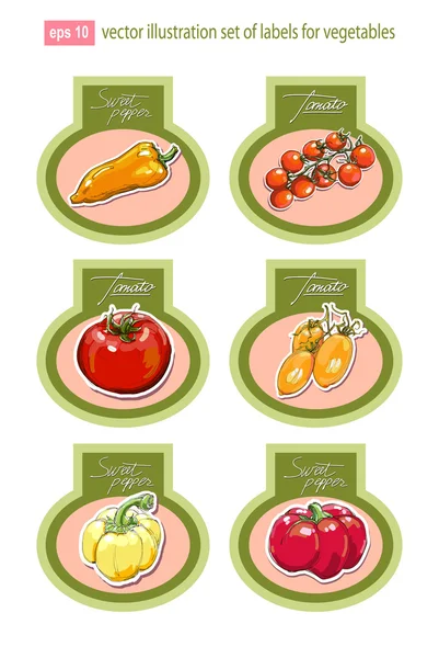 Set of vector labels with vegetables. Vector. — Stock Vector