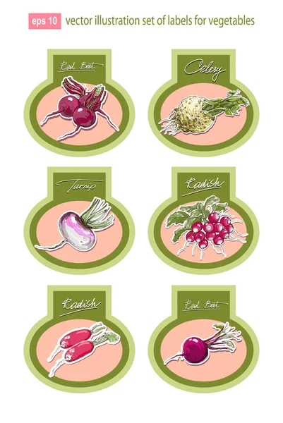 Set of vector labels with vegetables. Vector. — Stock Vector