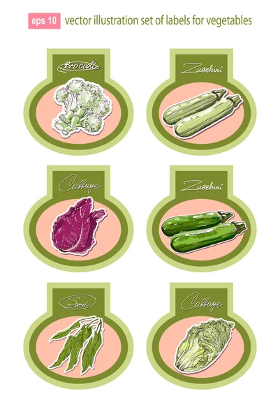 Set of vector labels with vegetables. Vector. — Stock Vector