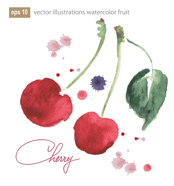 Vector watercolor image cherries with splashes — Stock Vector