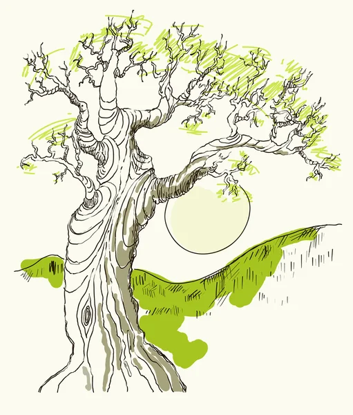 Ciągnione drzewo ilustracja wektorowa symbol na białym tle — Wektor stockowy
