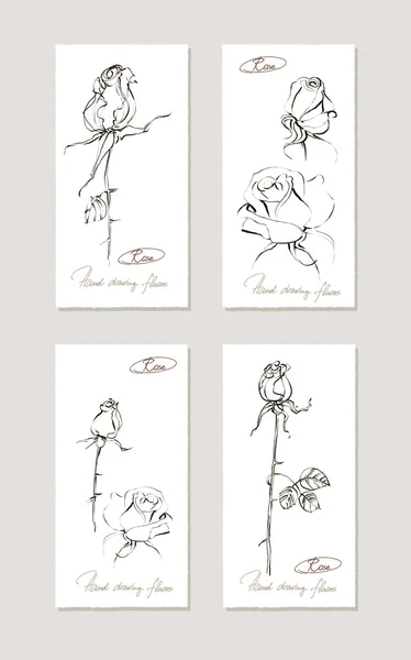 Bosquejo floral conjunto. Ilustraciones hechas a mano de rosas. Ilustración vectorial . — Archivo Imágenes Vectoriales
