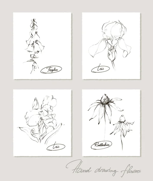 Bloem collectie van realistische schetsen van bloemen op kaarten. Vectorillustratie. — Stockvector