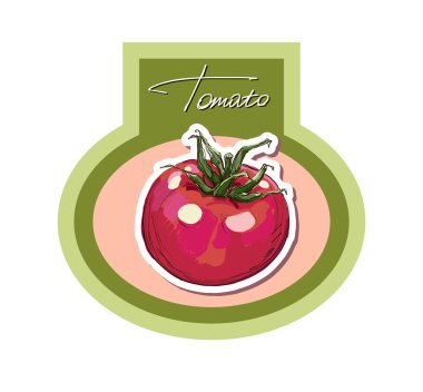 vektör el çizimi sulu domates