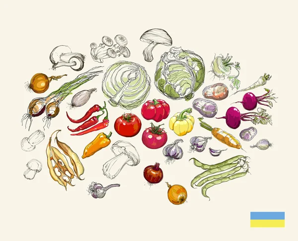 Realistische Vektor Hand Zeichnung Set von Gemüse — Stockvektor