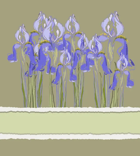 アイリスの花、ベクトル図で装飾的なパターンへの招待 — ストックベクタ