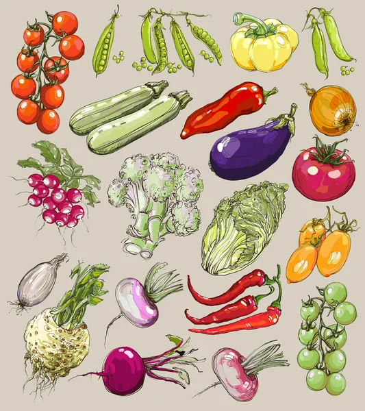 Grande coleção de legumes desenhados à mão, ilustração vetorial em estilo vintage . — Vetor de Stock