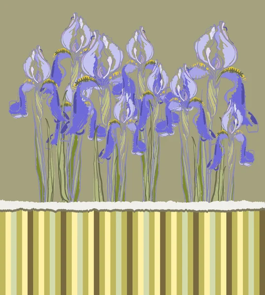 Iris çiçekler, vektör çizim ile dekoratif desen davet — Stok Vektör