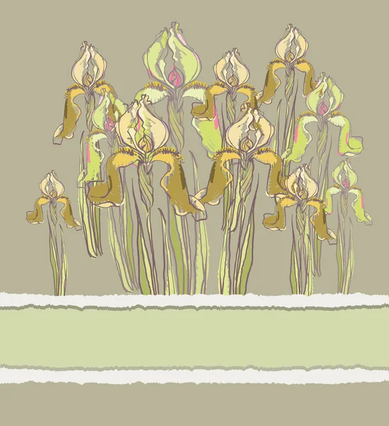 Invito decorativo con fiori di iris, illustrazione vettoriale — Vettoriale Stock