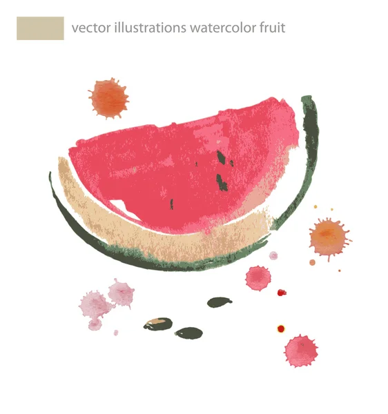 Akvarel ilustrace meloun. Neprůhledné. Přechody. — Stockový vektor