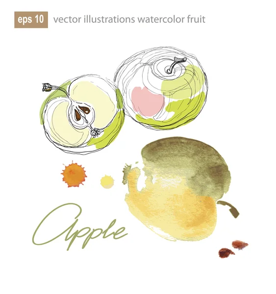 Vector äpple med paint blots. Akvarell vektor illustration. — Stock vektor