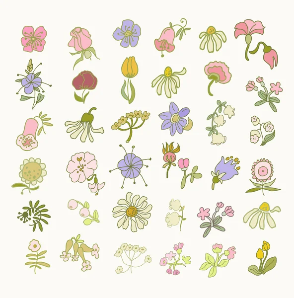 Coleção de flores desenhadas à mão. Elementos para o seu design. Ilustração vetorial . — Vetor de Stock