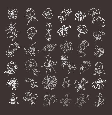 Topluluğu çizilmiş çiçek ver. Öğeleri tasarımınız için. Vektör çizim.
