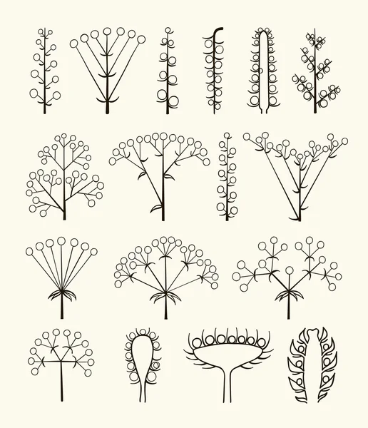 Set of vector different types of inflorescence isolated on white. — Stock Vector