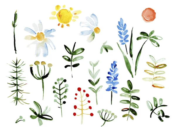 Coleção de flores desenhadas à mão. Elementos para o seu design. Aquarela vetorial — Vetor de Stock