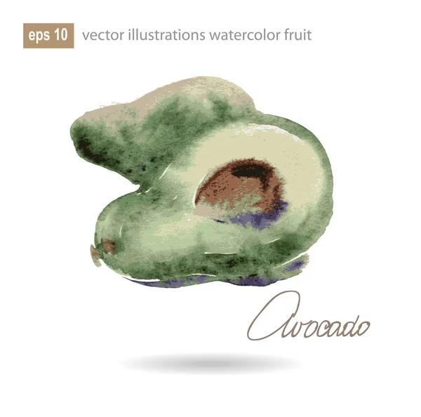 Watercolor illustration of avocado.  No transparency. Gradients. — Stock Vector